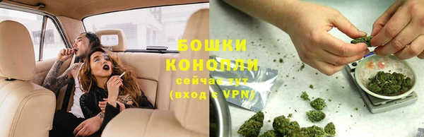 винт Дмитров