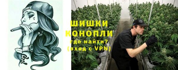 винт Дмитров