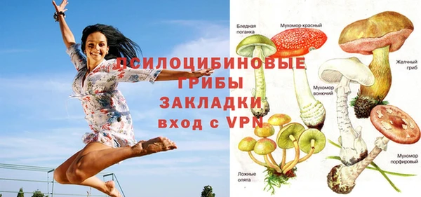 синтетический гашиш Дмитриев